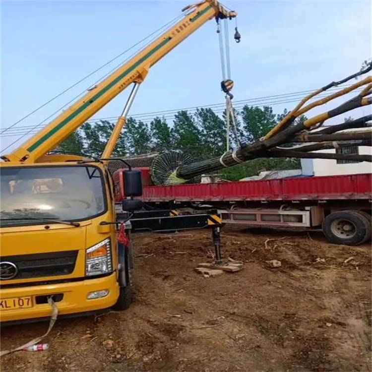 英山100吨吊车租赁费用怎么算？3大关键因素+省钱技巧全解析